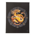 PT15208 - 7.5"x9.8" Litha Dragon Canvas Print