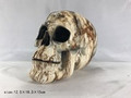 GSC44149 - 7" wide Skull Beige-Marble like