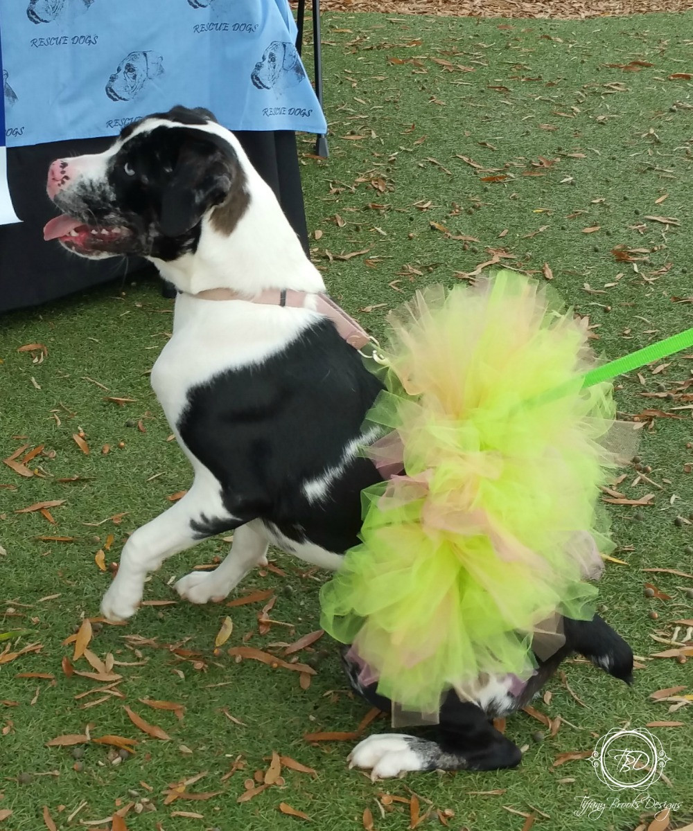 Large Breed Dog Tutu