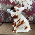 Vintage Ceramic Dog with Patch Over One Eye Brown White - 1940's