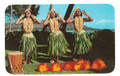 Vintage Hula Maidens Waikiki Postcard by Max Basker & Sons - 1960's