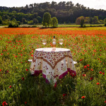 French Tablecloth Poppies