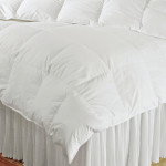 DownTown Company Villa European Down Winter Comforter