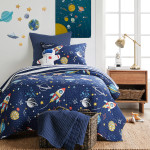 Levtex Home Galacy Quilt Set