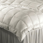 DownTown Company Willow White Goose Down Summer Comforter