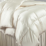 DownTown Company St. Moritz Down Filled Silk Comforter