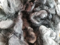 Borderdale Fleece, Dyed (Charcoal) - 1lb