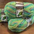 Opal Rainforest 17 4-Ply Sock Yarn, Sandra Plays the Pass