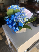 WE SEND OUR LOVE AND CONDOLENCES - BLUE TRANQUILITY HYDRANGEA