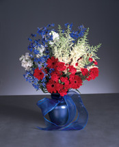 RED, WHITE AND BLUE SYMPATHY