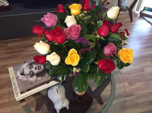 COLORS OF THE RAINBOW- TWO DOZEN IMPORTED LONG STEM ROSES- ON SALE WAS $120