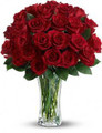 Love and Devotion - 2 Dozen Long Stemmed Red Roses