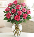 Rose Elegance Premium Long Stem Pink Roses