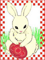 *CROATIAN EASTER CARDS ~ BUNNY  ~ Exclusively Designed for Heart of Croatia Gifts