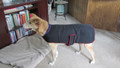dog jackets  all sizes
