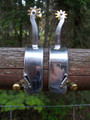Spurs - Stainless Steel Equitation (Mens)