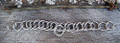 English Curb - Stainless Steel