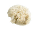 Hair Nets - Heavy Weight 2 Per Package (Blonde)