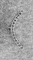 Curb Chain - Nickel Plated (9 1/2")