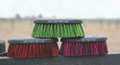 Brush - Tail Tamer Small Soft Poly Flick (Assorted)
