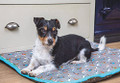 Dog Bed - Waterproof Digby & Fox (Dogs - 80" x 100")