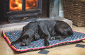 Dog Bed - Waterproof Digby & Fox (Dogs House - 80" x 100")