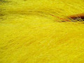 Bucktail Yellow BTL006