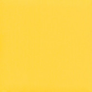 OS 587 Brightest Yellow