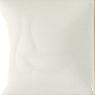IN1001 Envision Clear Brushing