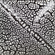 Mayco SG202 White Cobblestone