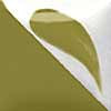 CN 332 Bright Olive, 8 ounce jar