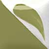 CN 331 Light Olive, 8 ounce jar