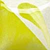 CN 503 Neon Chartreuse, 8 ounce jar