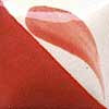 CN 506 Neon Coral, 8 ounce jar