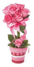 Pink dozen Roses in decorated pot