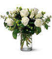 Pearly White Roses
