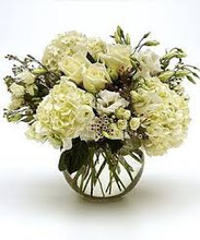White Hydrangea Mix