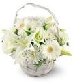 White Gerber Mix Basket