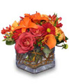 Fresh Floral Arrangement with Vase