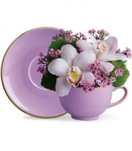 Fresh Mix with ceramic cup and saucer