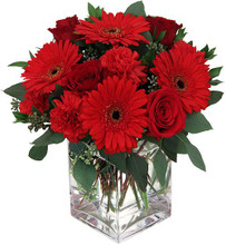 Fresh Red Roses and Gerber Mix in Cube Vase
