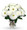 White Gerber Daisy Fresh Floral with Vase
