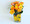Fresh Fruit and Flower Arrangement