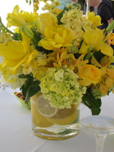 Fresh Fruit and Flower Arrangement