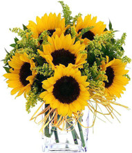 Sunflowers with Fresh Greens