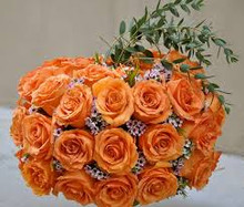 Fresh Rose Mix