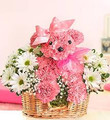 Fresh Floral Arrangement with Basket