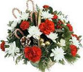 Mery Merry Christmas