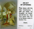 Communion Boy An Act of Offering Laminated Holy Card