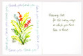 Thank You Border Thank You Greeting Card